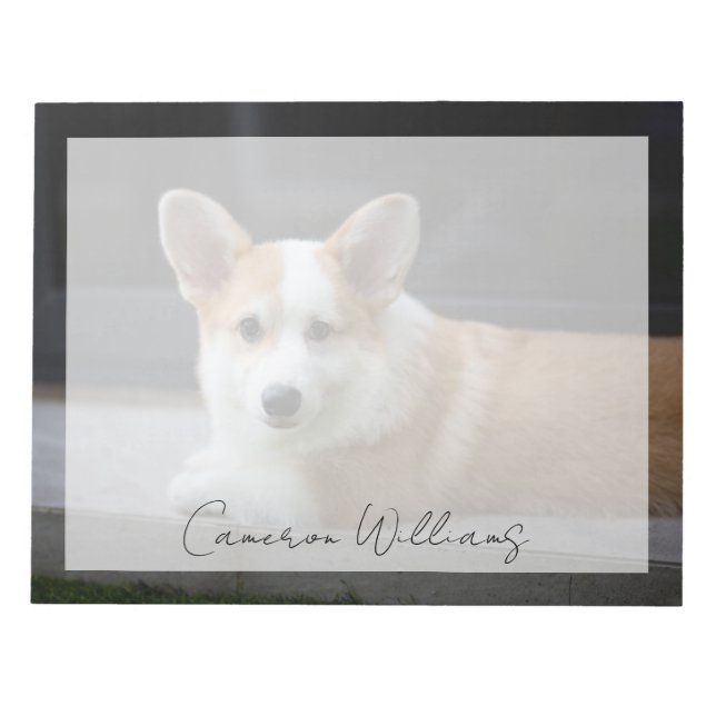 Niedliche Kleintiere | Entspannende Corgi Welpe Notizblock (Vorderseite)