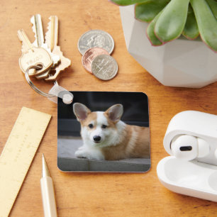 Niedliche Kleintiere Entspannende Corgi Welpe Schlüsselanhänger