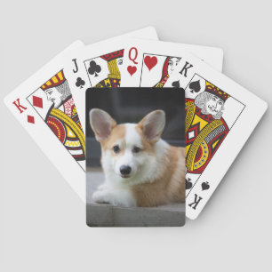 Niedliche Kleintiere Entspannende Corgi Welpe Spielkarten