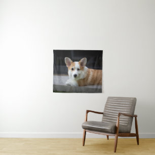 Niedliche Kleintiere   Entspannende Corgi Welpe Wandteppich