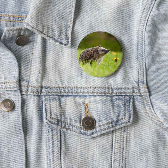 Niedliche Kleintiere | Europäischer Igel Button (Beispiel)