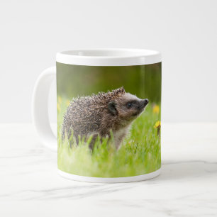 Niedliche Kleintiere Europäischer Igel Jumbo-Tasse