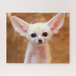 Niedliche Kleintiere Fennec Fox