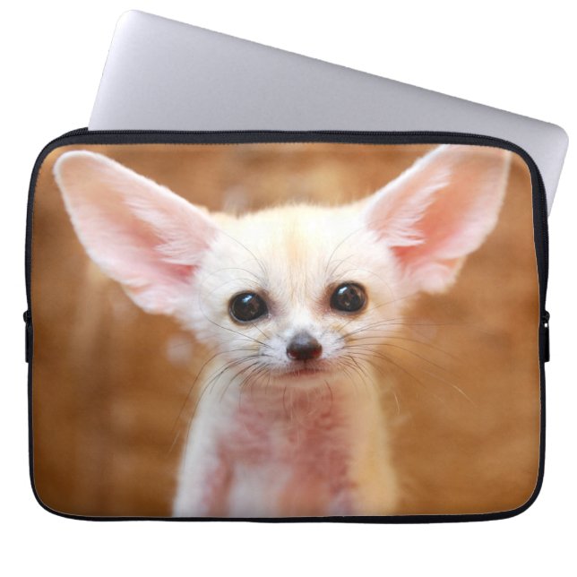 Niedliche Kleintiere | Fennec Fox Laptopschutzhülle (Vorderseite)