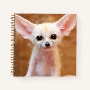 Niedliche Kleintiere Fennec Fox Notizbuch