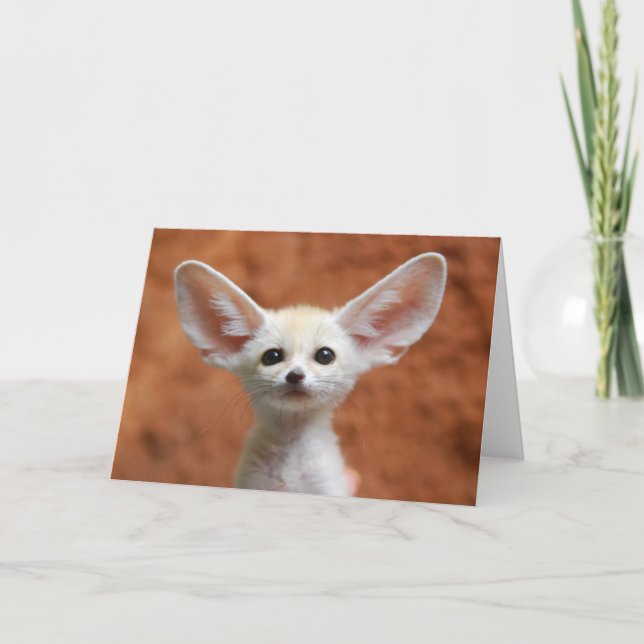Niedliche Kleintiere | Fennec Fox Pup Karte (Vorderseite)