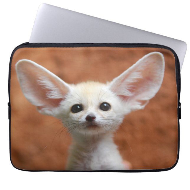 Niedliche Kleintiere | Fennec Fox Pup Laptopschutzhülle (Vorderseite)