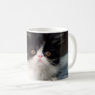 Niedliche Kleintiere Fluffy B&W Kitten Kaffeetasse