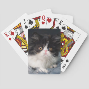 Niedliche Kleintiere   Fluffy B&W Kitten Spielkarten