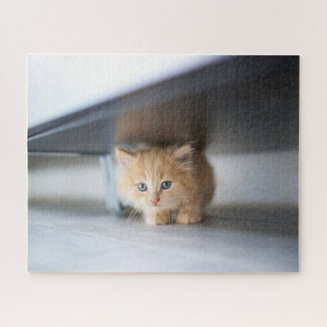 Niedliche Kleintiere | Fluffy Orange Kitten (Horizontal)