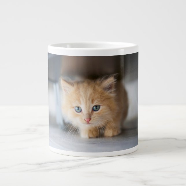Niedliche Kleintiere | Fluffy Orange Kitten Jumbo-Tasse (Vorderseite)