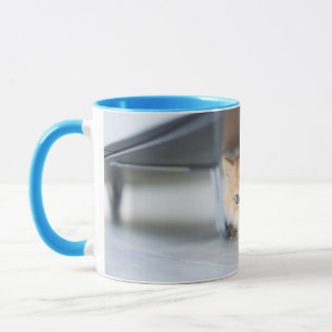 Niedliche Kleintiere   Fluffy Orange Kitten Tasse