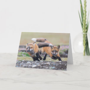 Niedliche Kleintiere Fox-Jungtiere im Spiel Karte