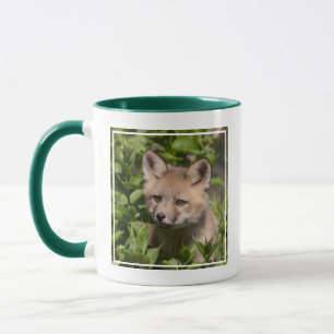 Niedliche Kleintiere Fox-Kit Tasse