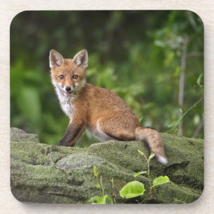 Niedliche Kleintiere Foxy Smile Getränkeuntersetzer