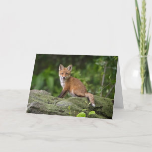 Niedliche Kleintiere Foxy Smile Karte