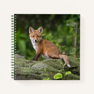 Niedliche Kleintiere   Foxy Smile Notizbuch