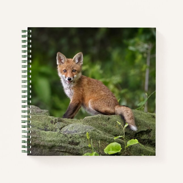 Niedliche Kleintiere | Foxy Smile Notizbuch (Vorderseite)