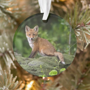 Niedliche Kleintiere Foxy Smile Ornament