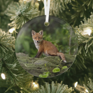 Niedliche Kleintiere Foxy Smile Ornament Aus Glas