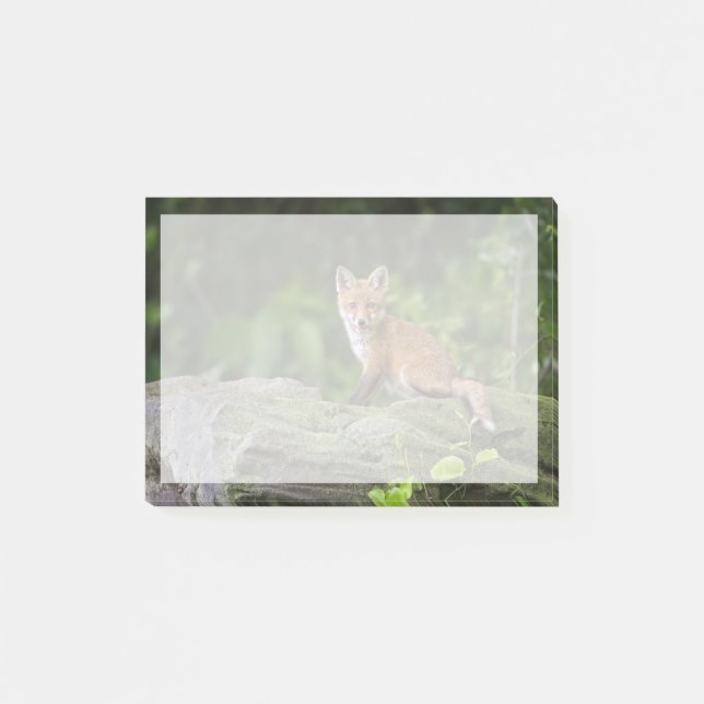 Niedliche Kleintiere | Foxy Smile Post-it Klebezettel (Vorderseite)