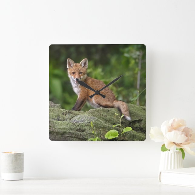 Niedliche Kleintiere | Foxy Smile Quadratische Wanduhr (Zuhause)