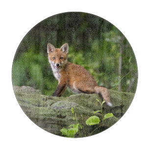 Niedliche Kleintiere   Foxy Smile Schneidebrett