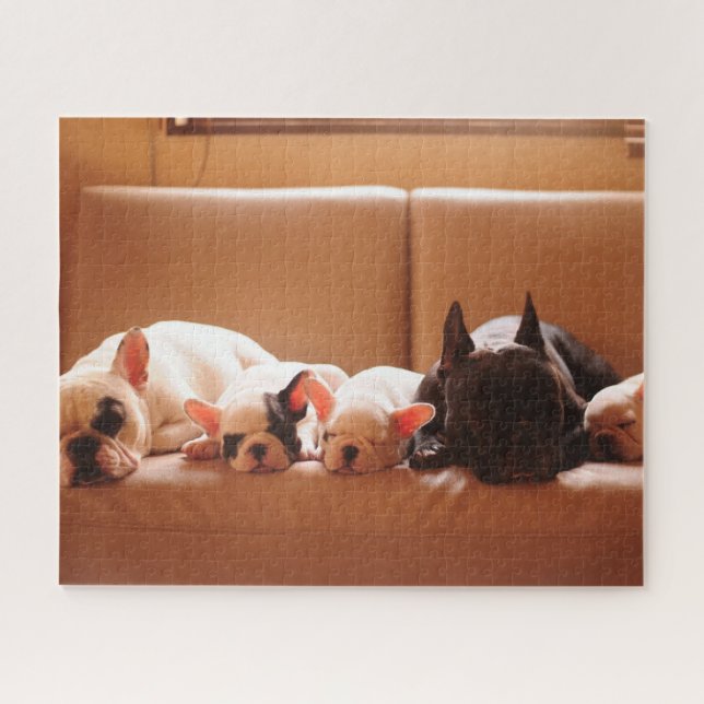 Niedliche Kleintiere | Französische Bulldog-Famili (Horizontal)