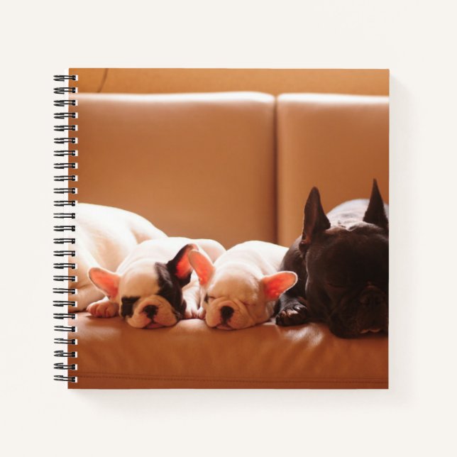 Niedliche Kleintiere | Französische Bulldog-Famili Notizbuch (Vorderseite)