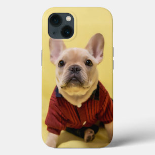 Niedliche Kleintiere   Französischer Bulldog Dress Case-Mate iPhone Hülle