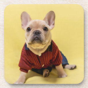 Niedliche Kleintiere Französischer Bulldog Dress Getränkeuntersetzer