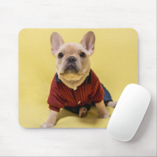Niedliche Kleintiere Französischer Bulldog Dress Mousepad