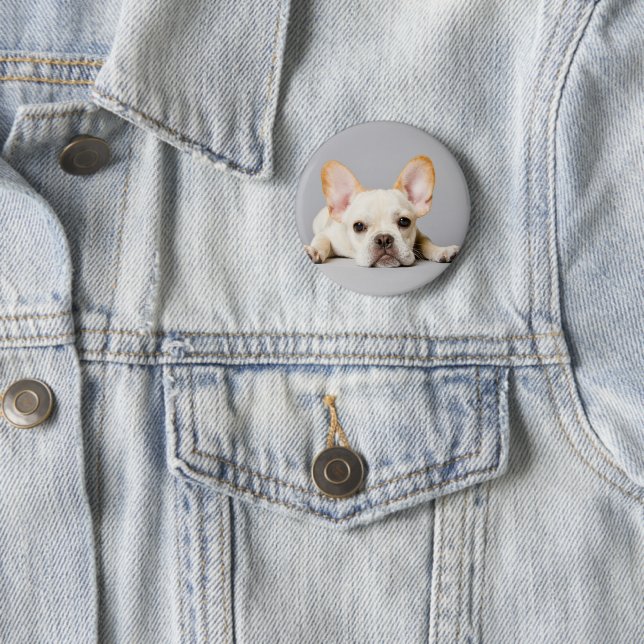 Niedliche Kleintiere | Französischer Bulldog flieg Button (Beispiel)