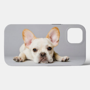 Niedliche Kleintiere   Französischer Bulldog flieg Case-Mate iPhone Hülle