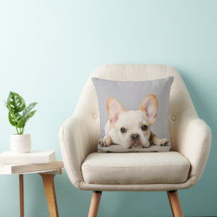 Niedliche Kleintiere   Französischer Bulldog flieg Kissen