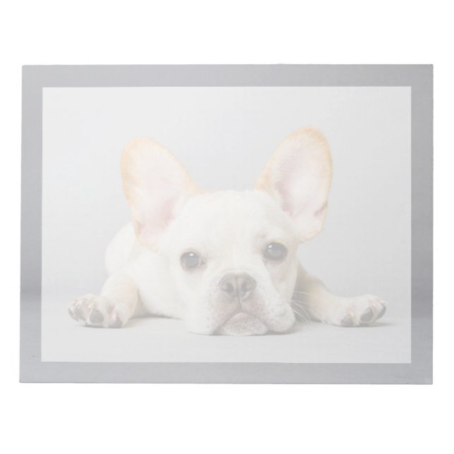 Niedliche Kleintiere | Französischer Bulldog flieg Notizblock (Vorderseite)