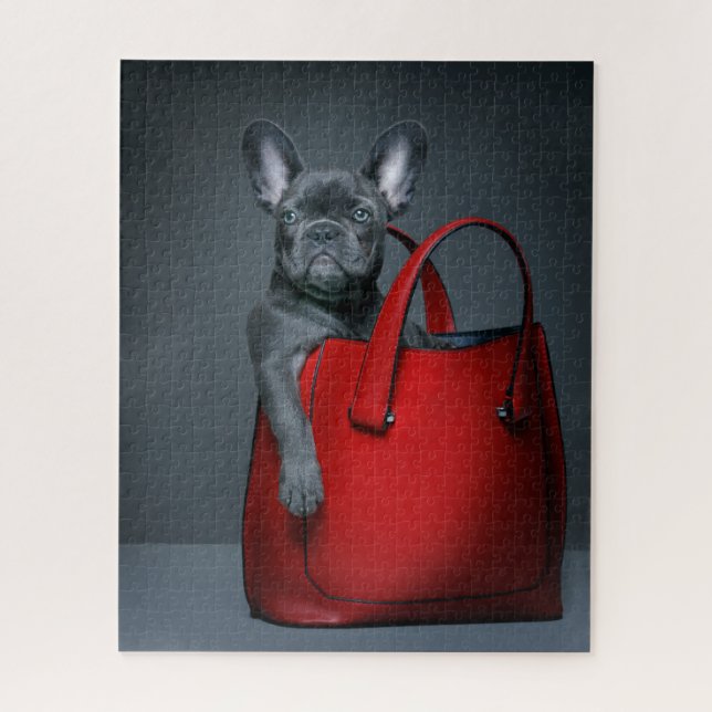 Niedliche Kleintiere | Französischer Bulldog in Ha (Vertikal)