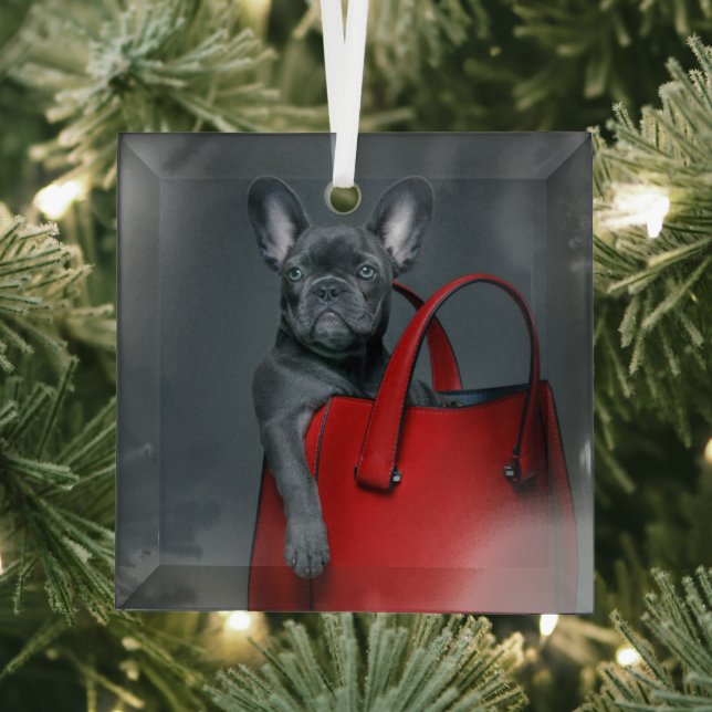 Niedliche Kleintiere | Französischer Bulldog in Ha Ornament Aus Glas (Insitu)