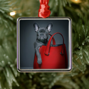 Niedliche Kleintiere Französischer Bulldog in Ha Ornament Aus Metall