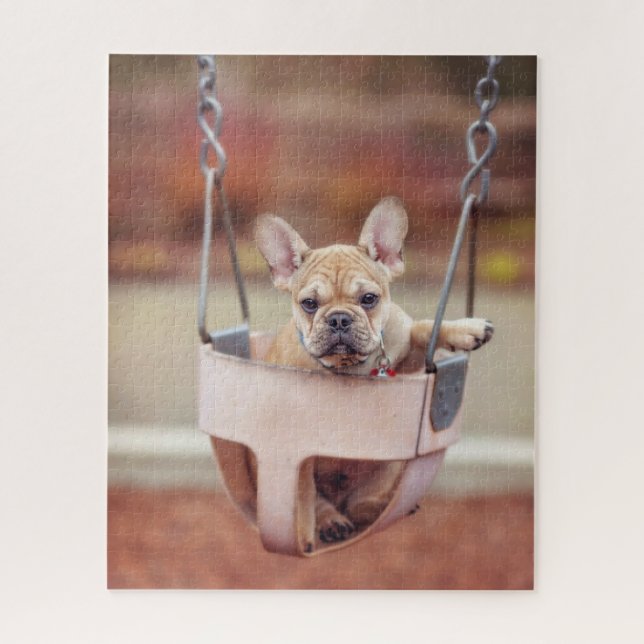 Niedliche Kleintiere | Französischer Bulldog-Playg (Vertikal)