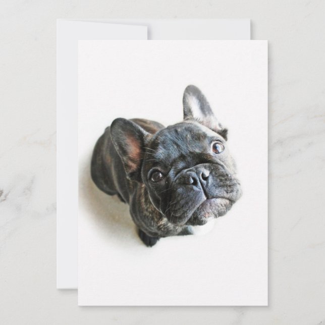Niedliche Kleintiere | Französischer Bulldogge-Auf Dankeskarte (Vorderseite)