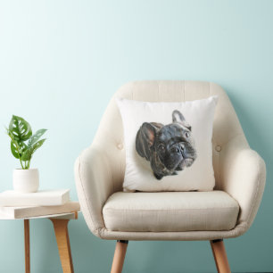 Niedliche Kleintiere   Französischer Bulldogge-Auf Kissen