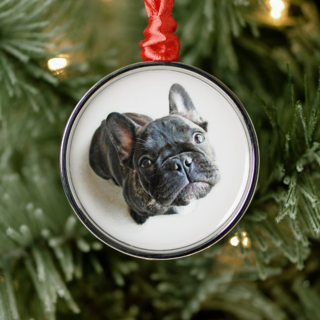 Niedliche Kleintiere | Französischer Bulldogge-Auf Ornament Aus Metall (Baum)