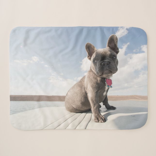 Niedliche Kleintiere | Französisches Bulldog-Boot Sherpadecke (Vorderseite (Horizontal))