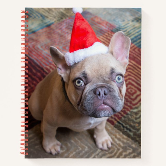 Niedliche Kleintiere | French Bulldog Christmas Notizbuch (Vorderseite)