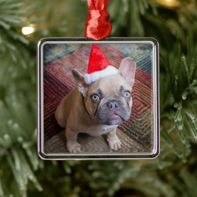 Niedliche Kleintiere | French Bulldog Christmas Ornament Aus Metall (Baum)