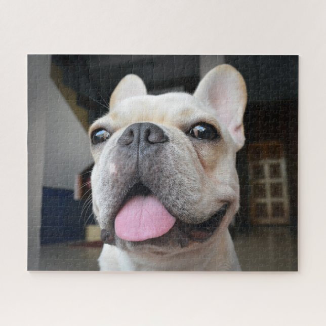 Niedliche Kleintiere | French Bulldog Face (Horizontal)