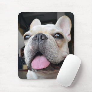 Niedliche Kleintiere   French Bulldog Face Mousepad