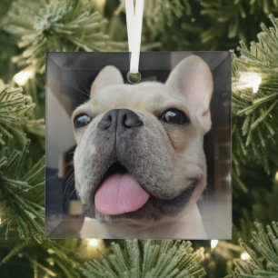 Niedliche Kleintiere French Bulldog Face Ornament Aus Glas