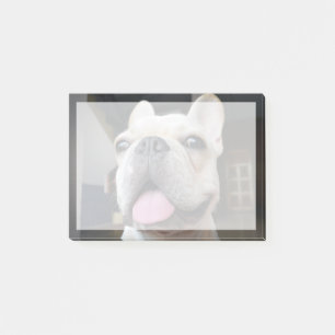 Niedliche Kleintiere French Bulldog Face Post-it Klebezettel